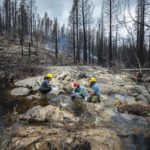 <p>UC Davis Associate Professor and Faculty Scientist Jasquelyn Peña, Postdoc Kyoun Lim Kang, and National Forest Service Hydrologist Vince Pacific<br />
collect water samples from a creek in Capps Creek Crossing. (Credit: Marilyn Sargent/Berkeley Lab)</p>
