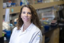 <p>&#8220;The show opens a small window into my life as a person and as a scientist here at UCI,” says Claudia Benavente, UCI associate professor of pharmaceutical sciences, who was featured on the Chilean TV show “Pasaporte Ciencia.” Steve Zylius / UCI</p>
