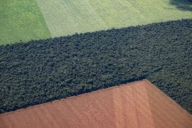 <p>A matrix consisting of agriculture fields and forest fragments in southern Amazonia, Mato Grosso, Brazil. Paulo Brando / UCI</p>
