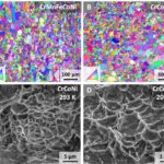 <p>EBSD scans show the equiaxed single-phase microstructures in (A) CrMnFeCoNi and (B) CrCoNi alloys. The sample direction associated with the IPF coloring is the direction normal to the EBSD scan plane. Fracture in both alloys occurs by microvoid coalescence. Examples of such ductile fractures in CrCoNi are shown at (C) 293 K and (D) 20 K.</p>
