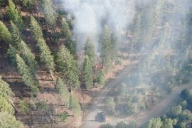 <p>A drone photograph captures the initial stage of a prescribed burn conducted by UCI researchers in April at the Blodgett Forest Research Station in Georgetown, California. Banerjee Lab / UCI</p>
