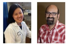 <p>The fact that this treatment works so well in the central visual pathway in adulthood supports a new concept, which is that there is latent potential for vision that is just waiting to be triggered,” says Sunil Ghandi, pictured here with study co-author Carey Huh (left). School of Biological Sciences.</p>
