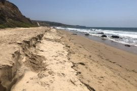 <p>With recently awarded funding from NASA, Brett Sanders, UCI professor of civil and environmental engineering, will pursue new tools and techniques for measuring the impact of sea level rise on beaches and dunes, including at Crystal Cove State Park’s Pelican Point, in Newport Beach, pictured here. Brett Sanders / UCI</p>
