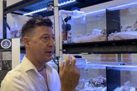 <p>David Kisailus, UC Irvine professor of materials science and engineering, hosted a group of community, government and business representatives in his laboratory in the Susan and Henry Samueli Interdisciplinary Science and Engineering Building. The group was there to learn about how Kisailus and his team draw inspiration from the biological world to create sustainable energy solutions. Brian Bell / UC Irvine </p>
 