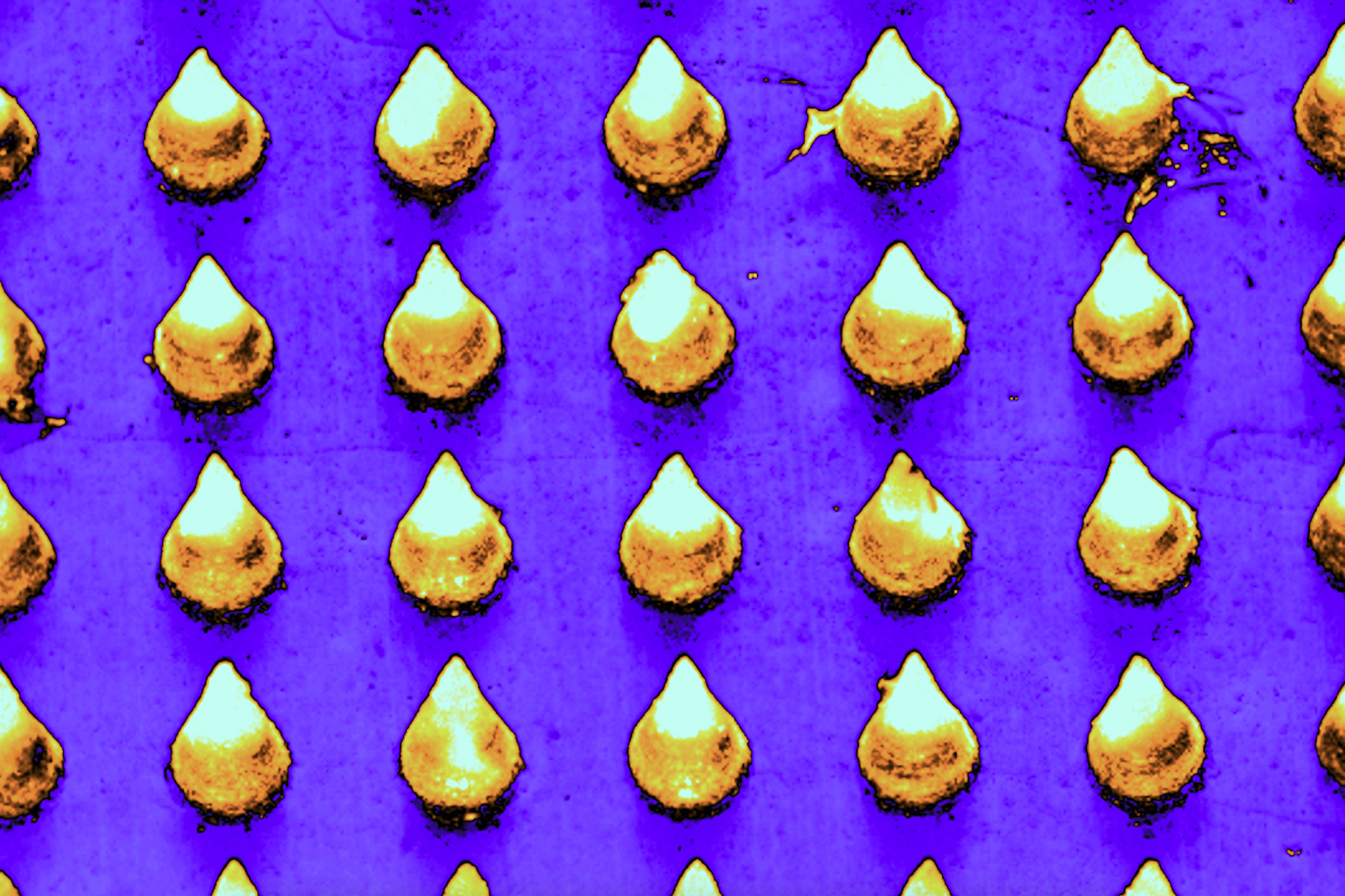 Image: Courtesy of the researchers 