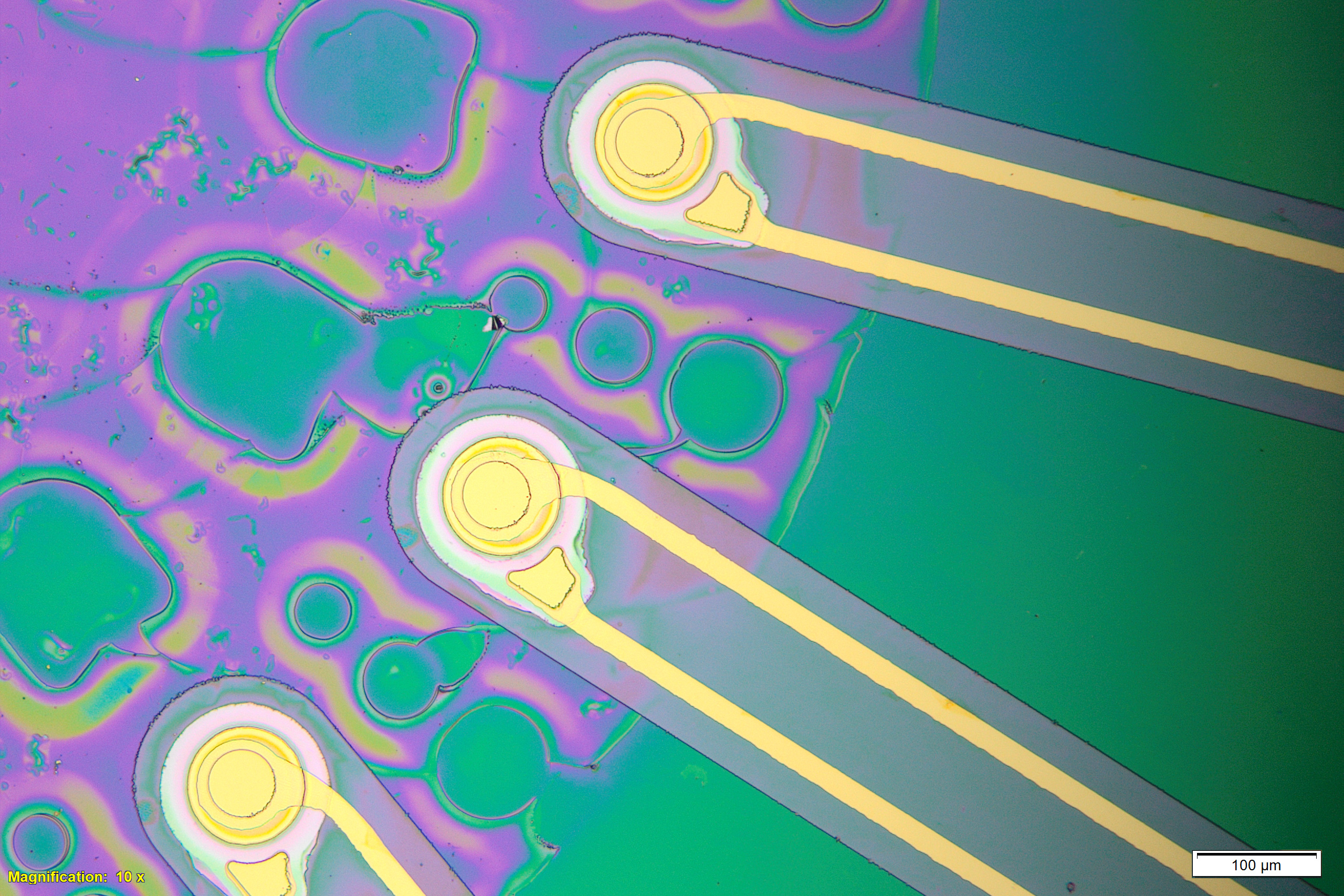 Image courtesy of the researchers. 