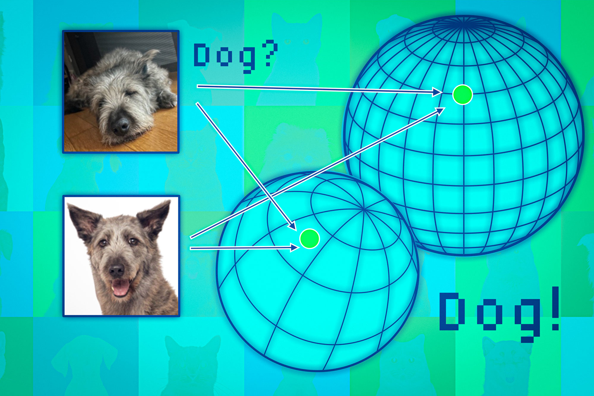 MIT News; Courtesy of the researchers 