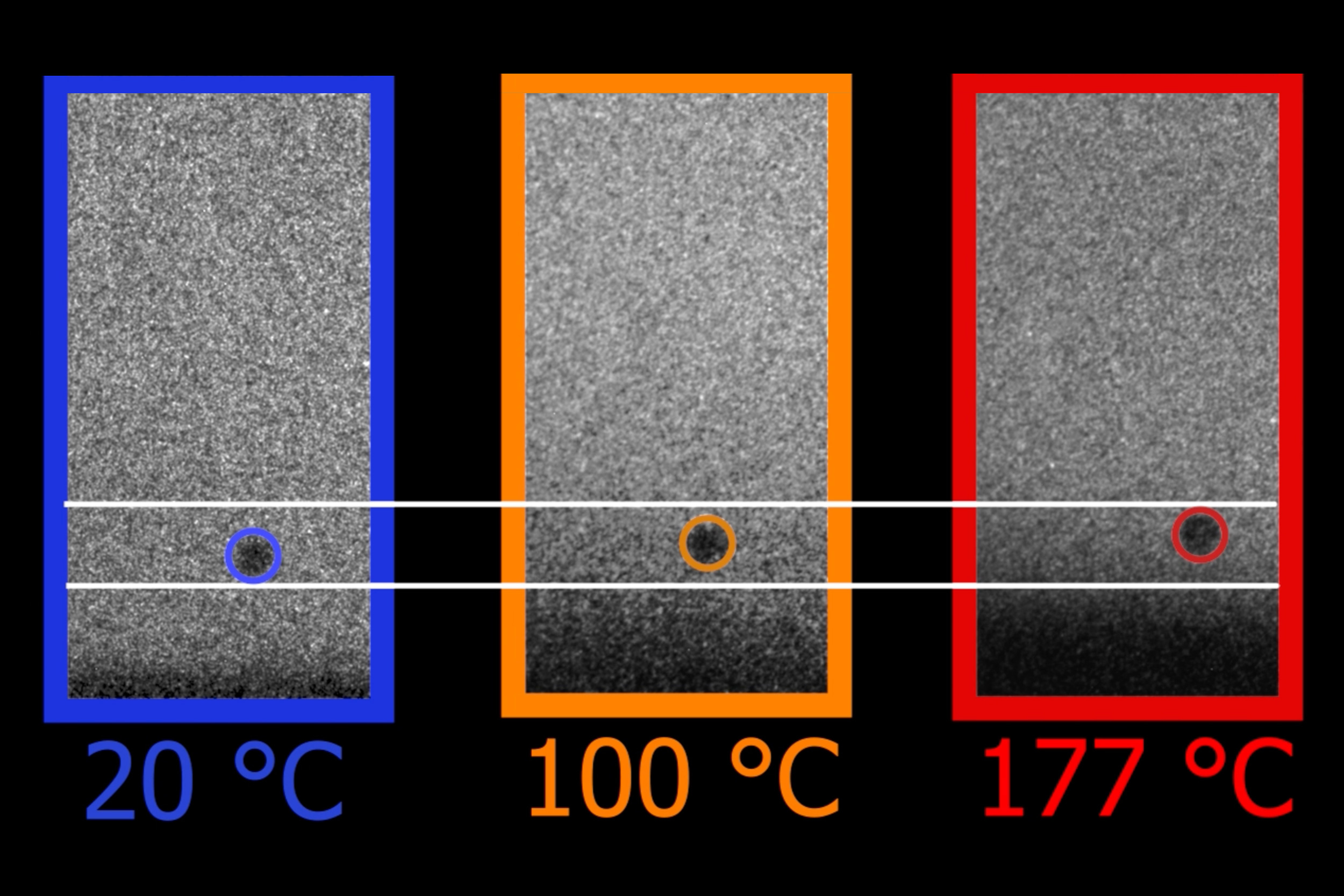 Image: Courtesy of the researchers 