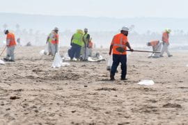 <p>Human-caused climate change is having a profound impact on California. Through a new special report website, UCI is providing an interdisciplinary examination of the environmental transformations taking place throughout the Golden State. Steve Zylius / UCI </p>
