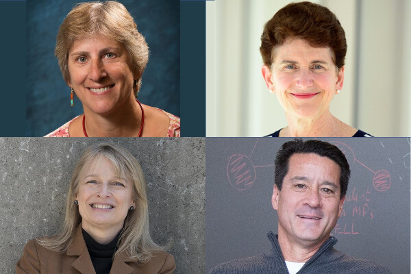head shots of Marisa Bartolomei, M. Celeste Simon, Michael Kearns, and Diana Mutz