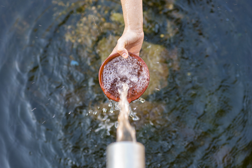 <p>Josfor/Shutterstock</p>
