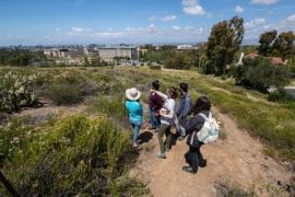 <p>UCI is a two-time recipient of the AASHE STARS Platinum rating and currently holds the highest score ever obtained by a participating institution. UCI Sustainability</p>
