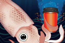 <p>Researchers in the Department of Chemical and Biomolecular Engineering at the University of California, Irvine have invented a squid-skin inspired material that can wrap around a coffee cup to shield sensitive fingers from heat. They have also created a method for economically mass producing the adaptive fabric, making possible a wide range of uses.<br />
Melissa Sung</p>
