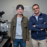 <p>Naoki Higashitarumizu (left), Postdoctoral Researcher, Electrical Engineering and Computer Sciences, UC Berkeley, and Ali Javey, Professor, Electrical Engineering and Computer Sciences, UC Berkeley, prepare samples on a Fourier-transform infrared spectroscopy (FTIR) at Corey Hall on the University of Berkeley campus, Berkeley, California, 03/22/2023. Higashitarumizu and Javey are authors on a paper Anomalous Thickness Dependence of Photoluminescence Quantum Yield in Black Phosphorous in Nature Nanotechnology.</p>
