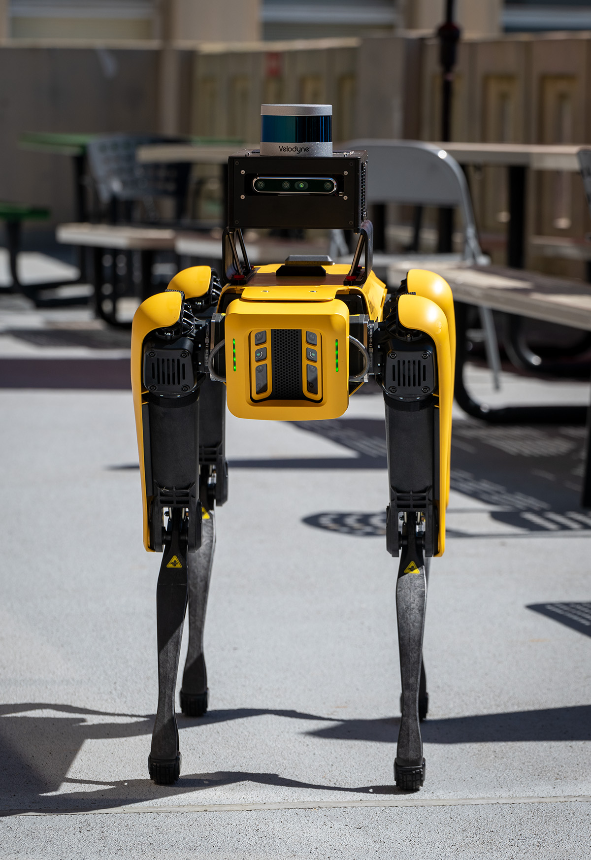 <p>Spot carries a LAMP system during testing. (Credit: Thor Swift/Berkeley Lab)</p>
