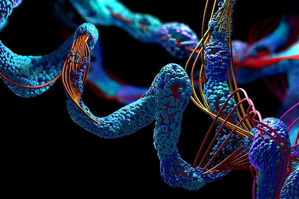 Microscopic view of an amino acid chain.