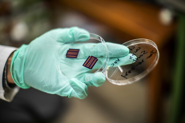 nanotube chips for the electronic nose
