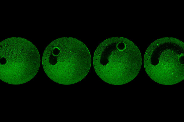 Time lapse photo of green circle shows a progressively larger cleared off area where a robot has removed a biofilm