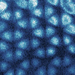 <p>This scanning tunneling microscope image of a graphene sheet reveals that a Wigner crystal – a honeycomb arrangement of electrons, like an electron ice – has formed inside a layered structure underneath. (Image by Hongyuan Li and Shaowei Li, courtesy of Nature)</p>
