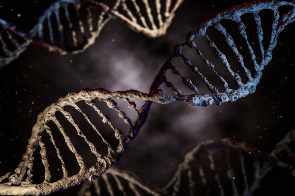 Microscopic view of DNA.