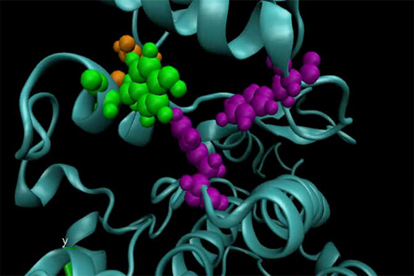 A computer model of a mutated anaplastic lymphoma kinase.
