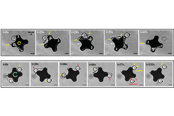 10 stages of a microrobot’s movements.