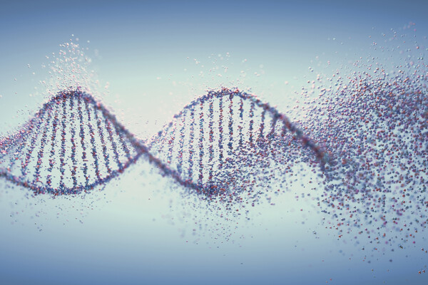 Microscopic view of a DNA chain disintegrating.