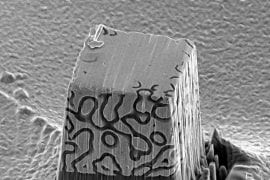<p>An image captured in the microscopy facilities at UCI, showing the end product of the electrodeposition of nickel around a carbon reinforcement structure, was featured on the front cover of the AAAS journal Science Advances. UCI researchers found that interpenetrating phased composites such as this can result in nano-architectures with exceptional strength and crush resistance. Lorenzo Valdevit / UC</p>
