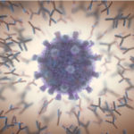 <p>An artistic rendering of antibodies surrounding a SARS-CoV-2 particle.(Credit: ktsdesign/Shutterstock)</p>
