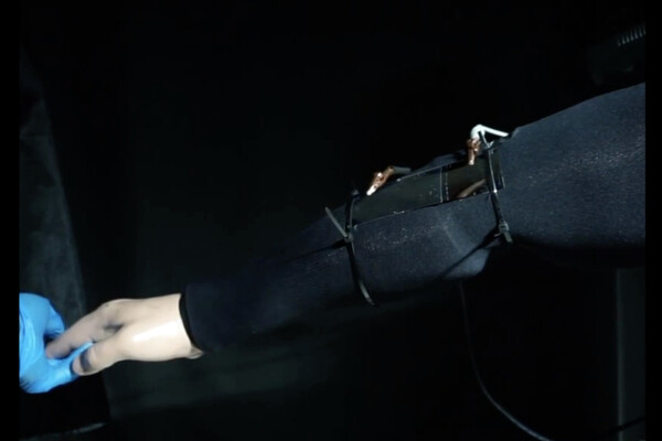 A robotic arm holding the hand of a mannequin.