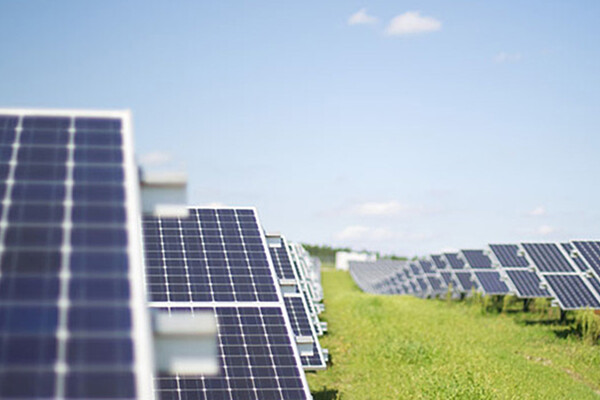 Field of solar panels on the ground.
