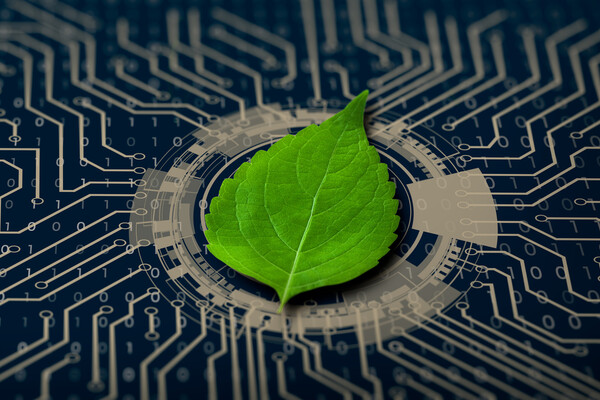 A microchip with a small leaf on it.